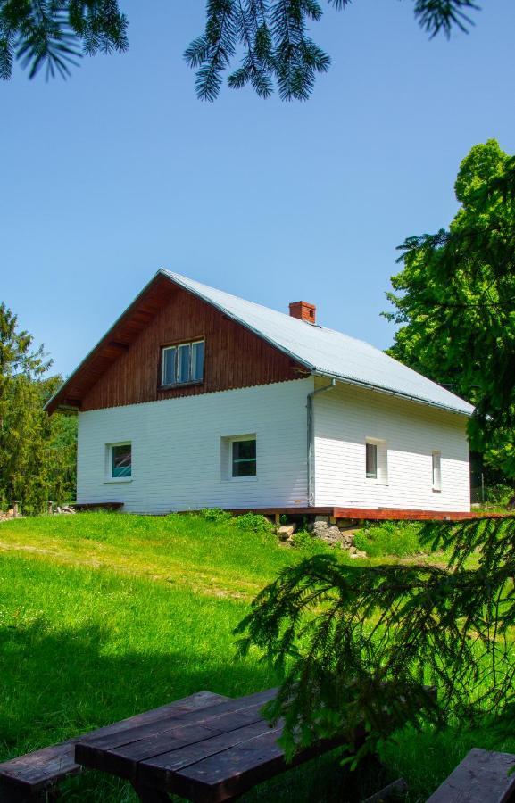 Domek W Gorach Na Wylacznosc Zlatna Exteriör bild